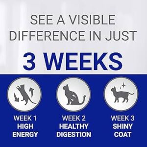 Purina ONE Adult Dry Cat Food Rich in Salmon 800g, Pack of 4